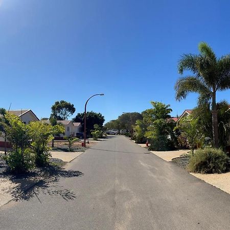 Outback Oasis Caravan Park Carnarvon Exterior foto